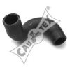 CAUTEX 026052 Radiator Hose